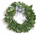 Myrtle, Salal, and Long Needle Pine