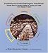 Professional Trade Show Exhibit Manager's Handbook - Secrets from an industry insider for running trade show displays for less!