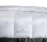 Royal Velvet Silver Elegance Hungarian White Goose Down King Comforter