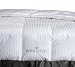 Royal Velvet Silver Elegance Hungarian White Goose Down King Comforter