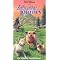 CATS, big & small in Walt Disney movies on DVD VHS