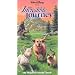 CATS, big & small in Walt Disney movies on DVD VHS
