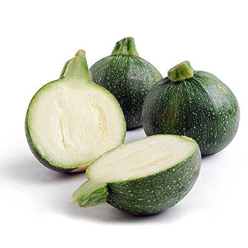Eight Ball Squash 15 Seeds - GARDEN FRESH PACK! Eight Ball Squash 15 Seeds - GARDEN FRESH PACK!