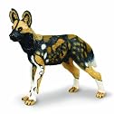 Wild Safari Wildlife: African Wild Dog