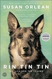 Rin Tin Tin