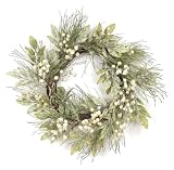 Pack of 2 Winter Solace Frosted Berry, Pine & Leaf Christmas Wreaths 20 - Unlit