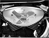 Show Chrome Air Cleaner Cover Free Spirit 82-208