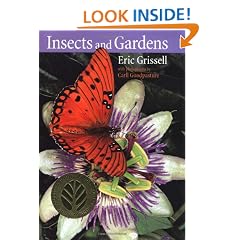 Insects and Gardens