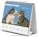 Produkt-Bild: Literaturkalender 2013 Katzen: Wochen-Aufstellkalender