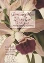 Breathing New Life Into Lent: A Collection of Creative Worship Resources