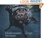 Underwater Dogs