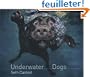 Underwater Dogs
