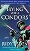 Flying with Condors
