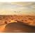 �T�o�N (Suiko books (115))