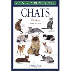 Chats