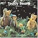 Book Teddy Bears: Mirga de Vries (Taschen Wall Calendars)