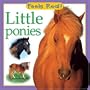 Little Ponies (Feels Real Books)