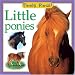 Little Ponies (Feels Real Books)