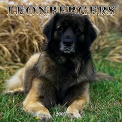 Leonbergers 2005 Calendar