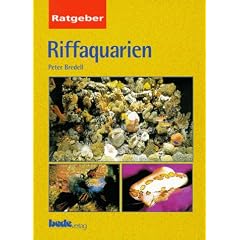 Ratgeber Riffaquarien