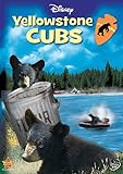 Yellowstone Cubs