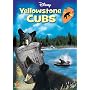 Yellowstone Cubs
