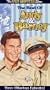 The Andy Griffith Show - The Best of Andy & Barney (The Loaded Goat/ Class Reunion/ The Great Filling Station Robbery) [VHS]