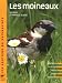 Les moineaux : Description, répartition, habitat, moeurs, observation