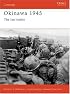Okinawa 1945: The Last Battle (Campaign)
