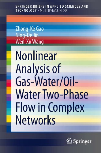 Nonlinear Analysis of Gas-Water/Oil-Water Two-Phase Flow in Complex Networks (SpringerBriefs in Applied Sciences and Technology)