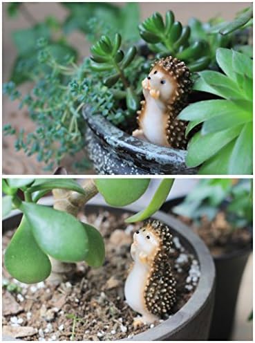 Magic Fairy Tale Hedgehog Standing and Sitting Sell Sell Meng Meng / Miniature Bonsai Garden Crafts