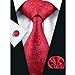 Hi-Tie Mens Red Silk Tie set