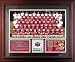 1994 San Francisco 49ers Framed Super Bowl XXIX Team Photo with Stats