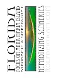 Florida - Focus on Anna Maria Island - Panoramic & Stereoscopic: Hypnotizing Sceneries