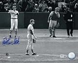 ������ȥ󡦥ե���������������ƥ��å�ľɮ������8x10�ե���/1975 WS Homerun