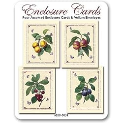 Summer Fruits - Set of Four Assorted Gift Cards and Vellum Envelopes