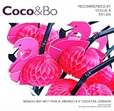 10 x Coco&Bo - Mango Bay Hot Fuchsia Pink Flamingo Straws - Cocktail Accessories - Hawaiian Luau Beach Party / Hen Night / Alice in Wonderland Queen of Hearts Mad Hatter Tea Party