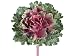 11 Large Japanese Cabbage Spray Burgundy (Pack of 6)