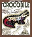 Uncover a Crocodile (Uncover Books)