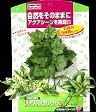 リアルプラントA-01