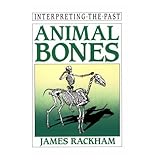 animal bones interpreting the past