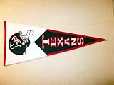 Houston Texans NFL Classic Football Pennant