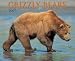 Book Grizzlies 2007 Calendar