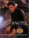 Angel: The Casefiles, Volume 1