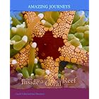 Inside a Coral Reef (Amazing Journeys 2nd Edition) by Carole Telford and Rod Theodorou