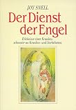 Der Dienst der Engel diesseits und jenseits: Erlebnisse einer Krankenschwester - Joe Snell