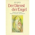 Der Dienst der Engel diesseits und jenseits: Erlebnisse einer Krankenschwester