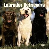 Labrador Retrievers Mini Wall Calendar: 2004