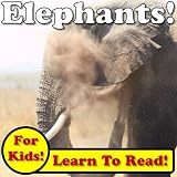 Elephants! Learn About Elephants While Learning To Read - Elephant Photos And Facts Make It Easy! (Over 45+ Photos of Elephants)