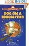 Dog on a Broomstick (Corgi Pups)